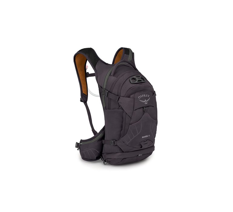 Osprey Raven 14 II Space Travel Grey